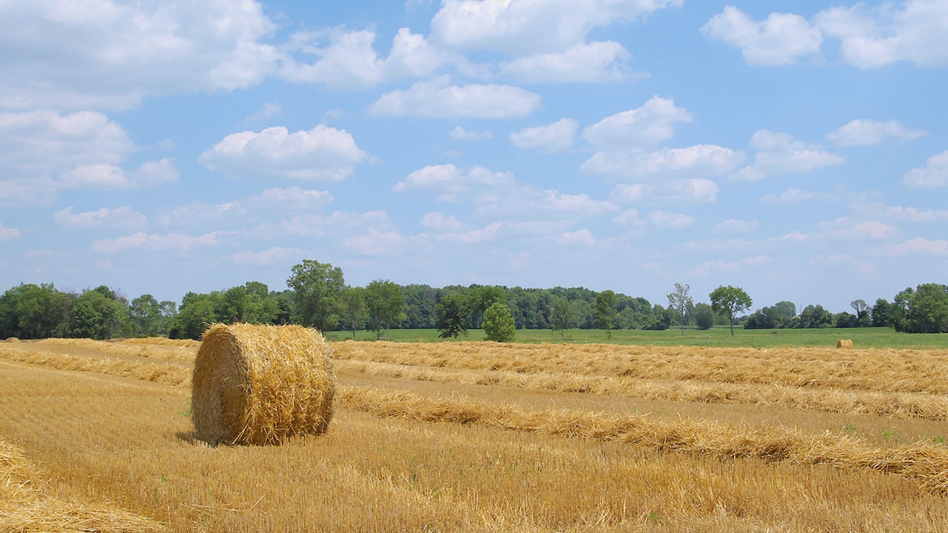 Tracteurs Valtra